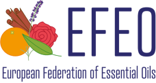 Logo EFEO