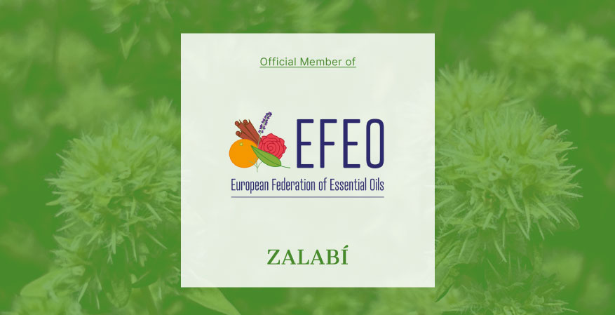 Zalabí official member of EFEO