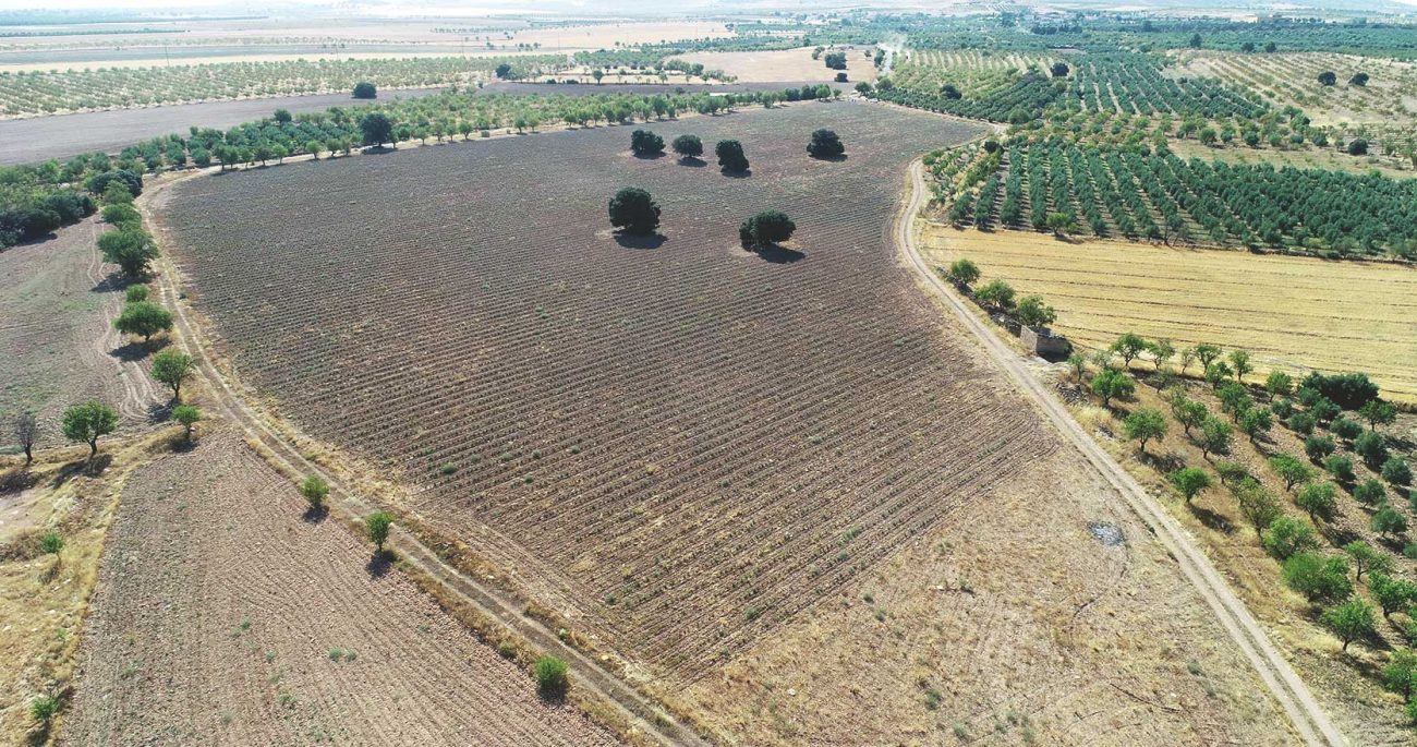 Finca Cañada del Reloj. Guadix