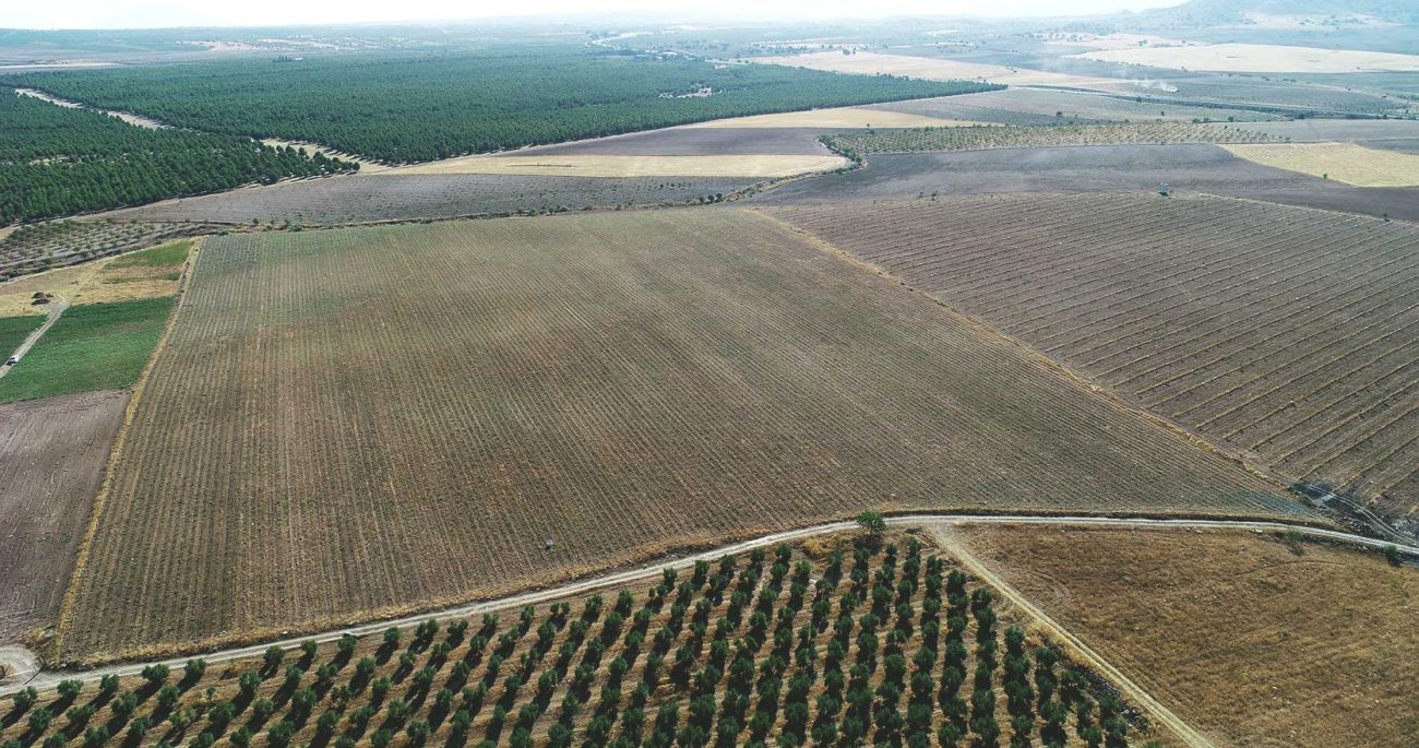 Finca Llanillo, Hernán-Valle